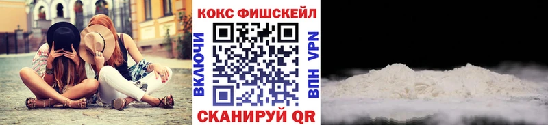 Cocaine Fish Scale  Купить закладки  Минусинск 