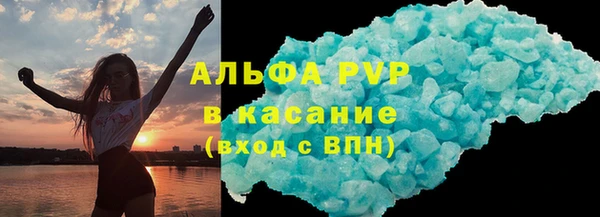 прущие грибы Заволжск