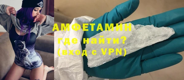 прущие грибы Заволжск