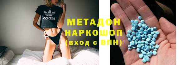 прущие грибы Заволжск