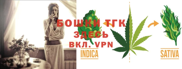 прущие грибы Заволжск