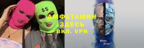 прущие грибы Заволжск