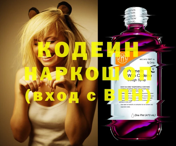 прущие грибы Заволжск