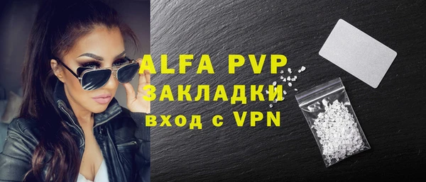 прущие грибы Заволжск
