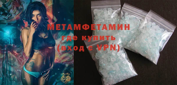 прущие грибы Заволжск